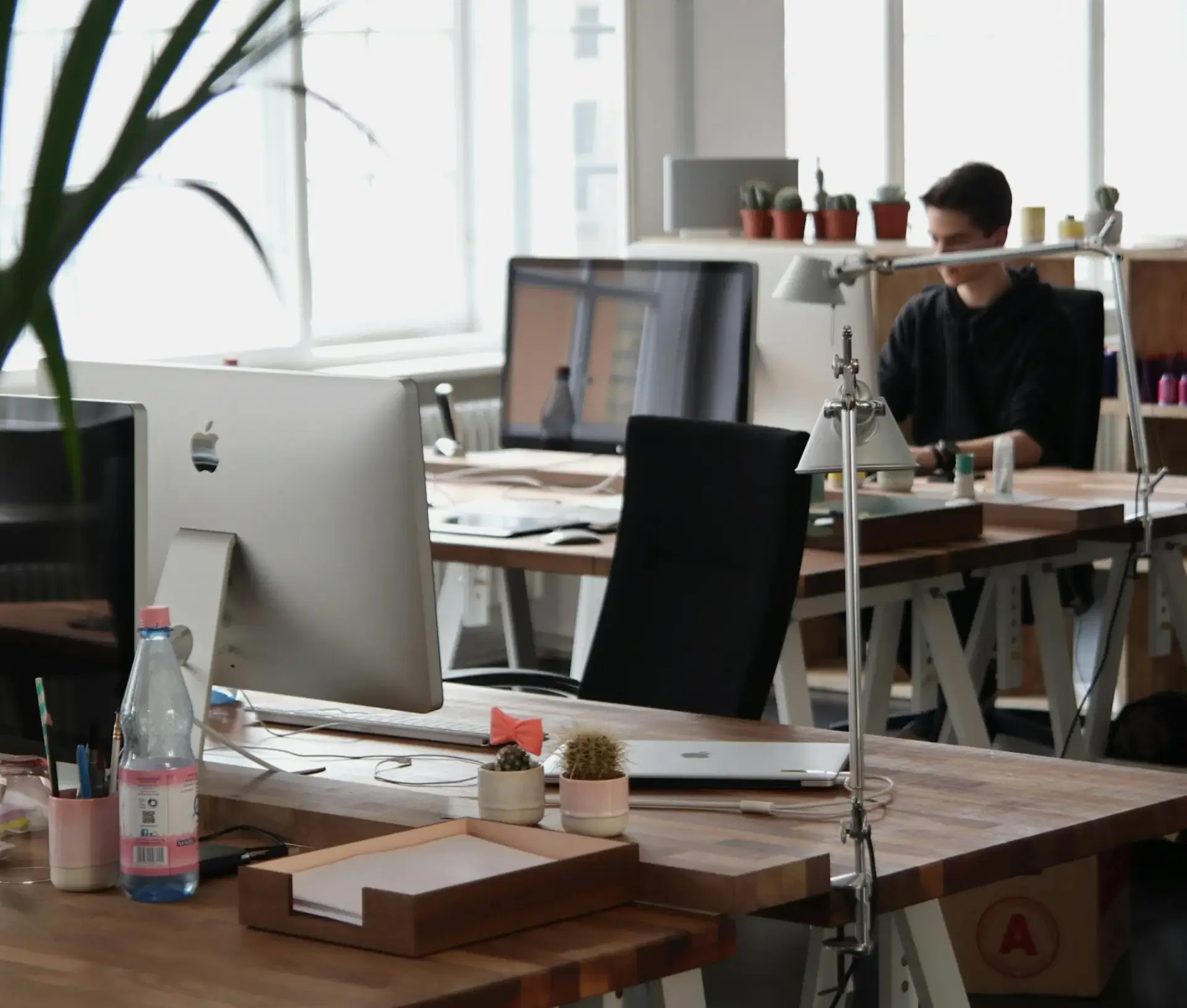 Modern office with wooden desks, computers, small potted plants, and office supplies; a person sits working at a desk in the background, with large windows providing natural light—a setting ideal for macOS compliance in regulated industries.