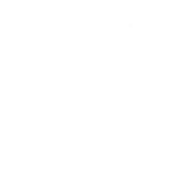 GDPR icon W